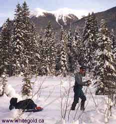 Your cross-country ski guide breaking trail